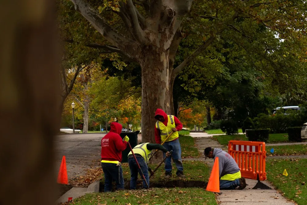 Expert yard maintenance experts serving Jackson, MI - EPM Professional Grounds Services