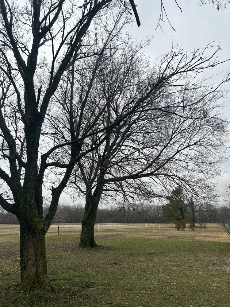 Professional yard cleanup service with custom design across Holdenville, OK - Epperley Lawn Care & Property Maintenance