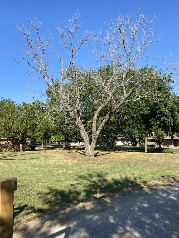 Top-rated lawn care service experts serving Holdenville, OK - Epperley Lawn Care & Property Maintenance