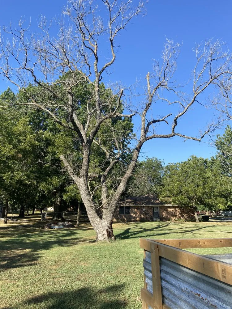 Reliable yard cleanup service experts serving Holdenville, OK - Epperley Lawn Care & Property Maintenance