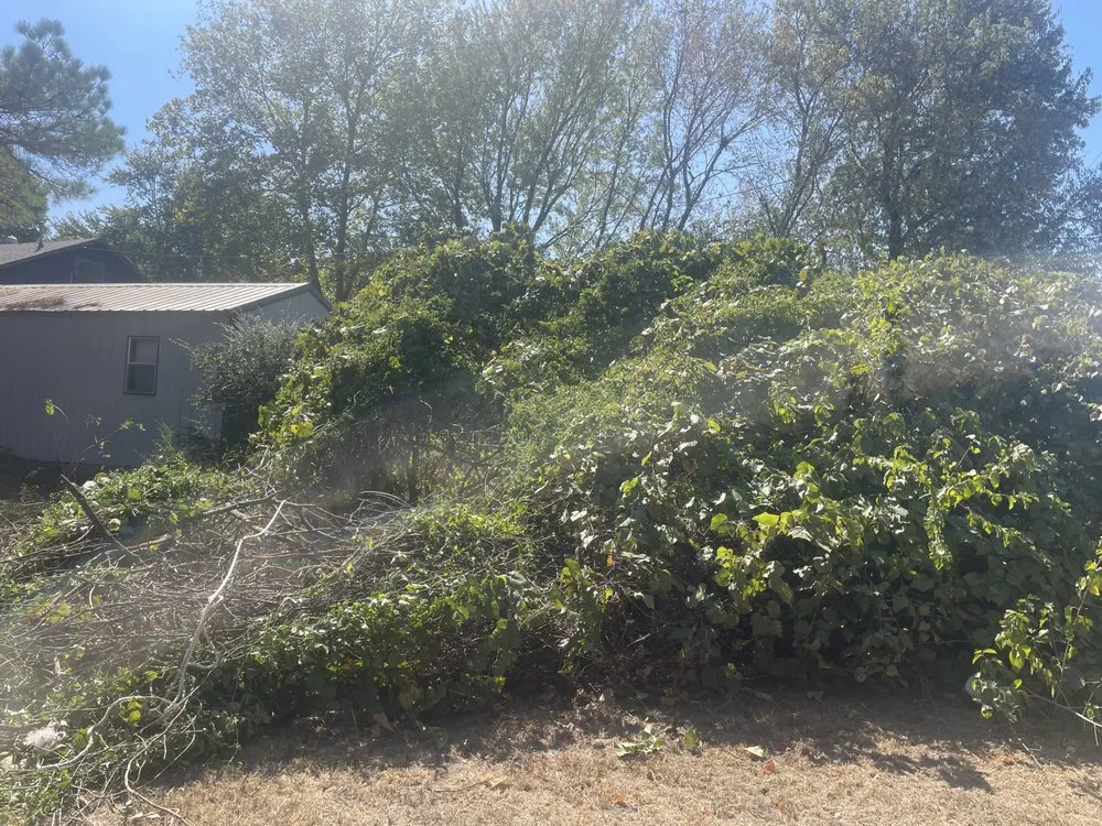 Trusted landscaping services for beautiful yards across Holdenville, OK - Epperley Lawn Care & Property Maintenance