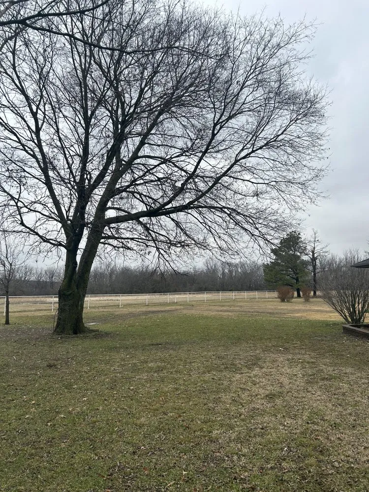 Custom landscape design in Holdenville, OK by Epperley Lawn Care & Property Maintenance