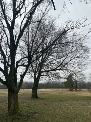 Epperley Lawn Care & Property Maintenance