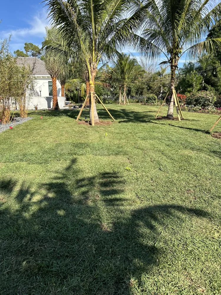 Trusted yard cleanup service for outdoor upgrades across Naples, FL - EPR Sod