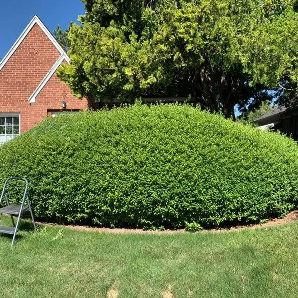 Top-rated landscaping services experts serving West Valley City, UT - EPS Landscaping