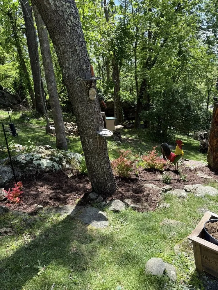 Professional lawn care service for residential properties in Newland, NC by EP’s Mowing
