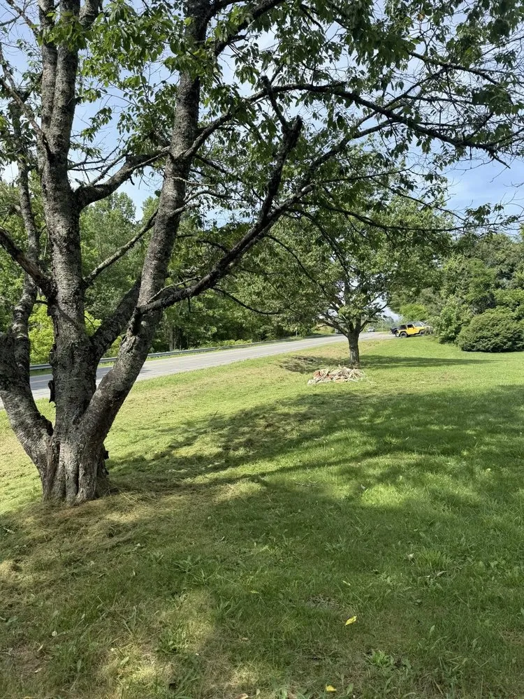 Trusted yard cleanup service experts serving Newland, NC - EP’s Mowing
