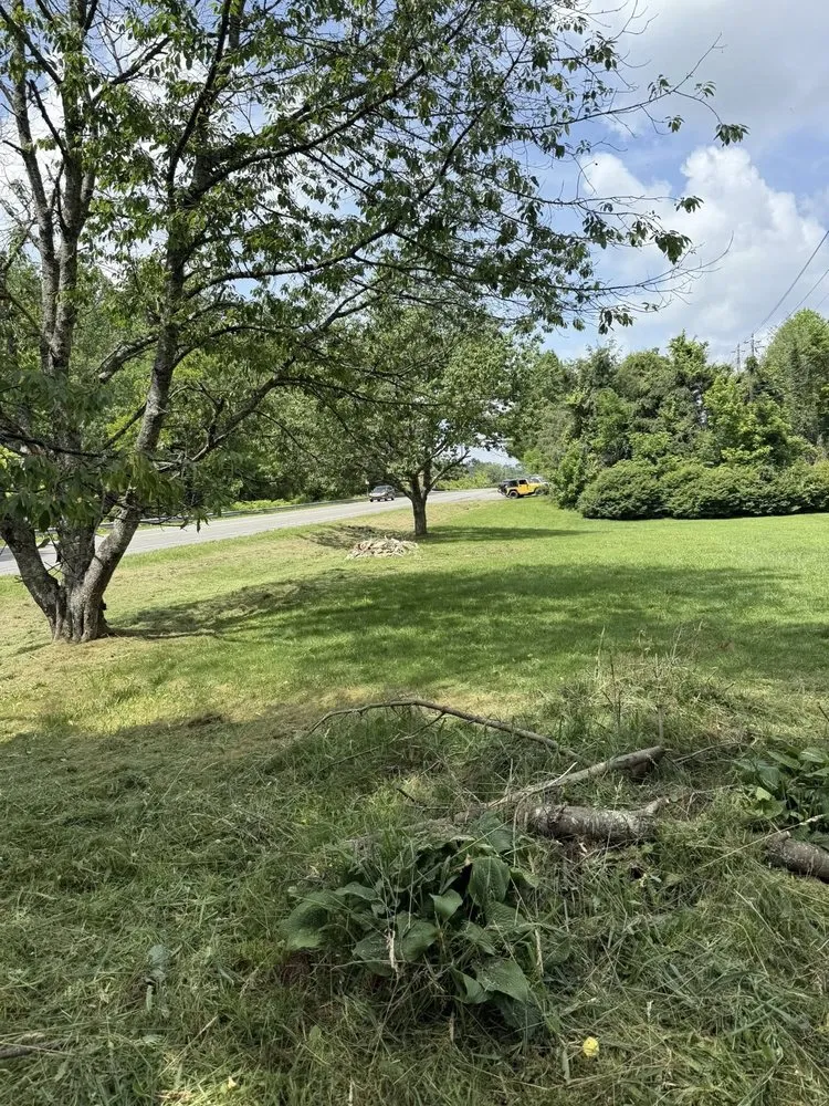Professional landscaping services in Newland, NC by EP’s Mowing