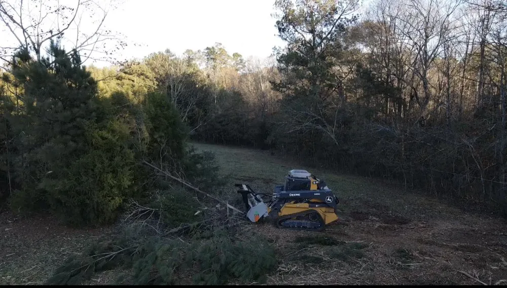 Professional yard maintenance with custom design across Zebulon, GA - Equal Roll-Off & Demolition