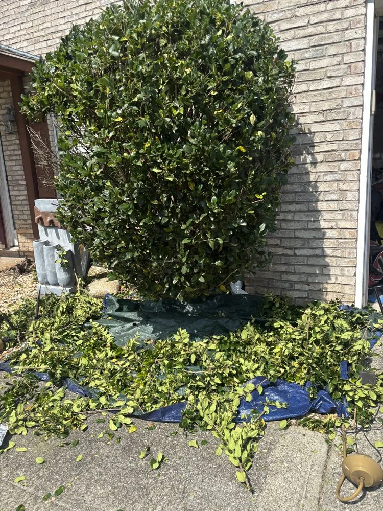 Trusted lawn mowing service for year-round maintenance across Eatonton, GA - Equality Services