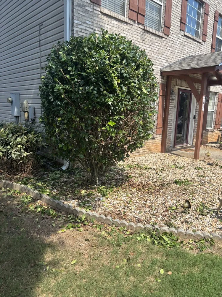 Trusted yard maintenance in Eatonton, GA - Equality Services