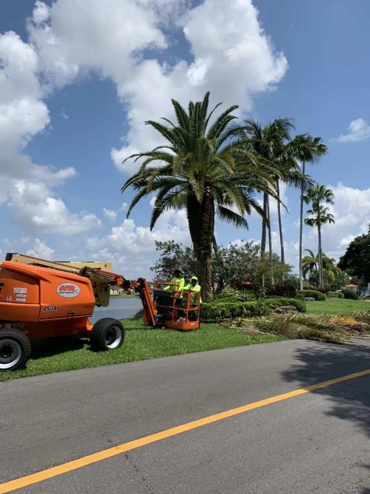Top-rated landscaping services for outdoor upgrades in Pompano Beach, FL by Equilibrium Landscape