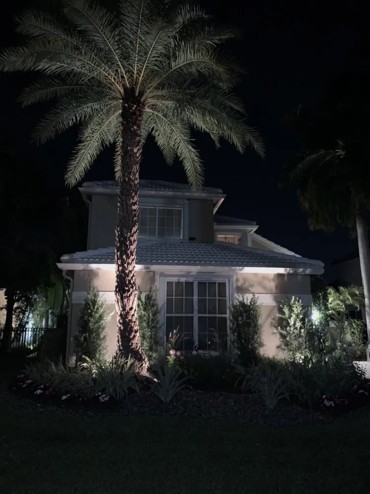 Expert yard cleanup service for homes in Pompano Beach, FL by Equilibrium Landscape