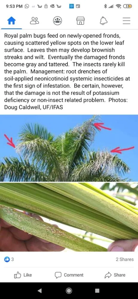 Custom landscape installation in Pompano Beach, FL - Equilibrium Landscape