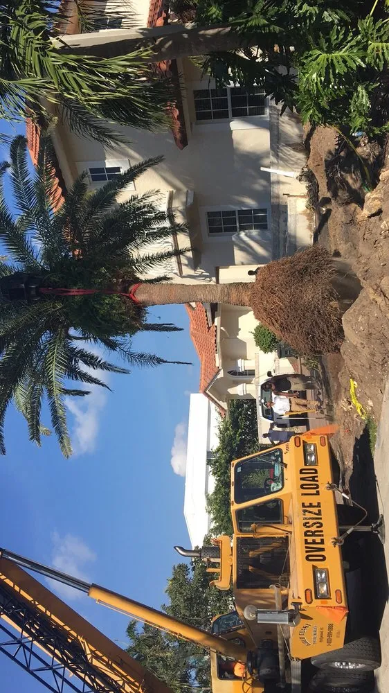 Expert lawn care service in Pompano Beach, FL by Equilibrium Landscape