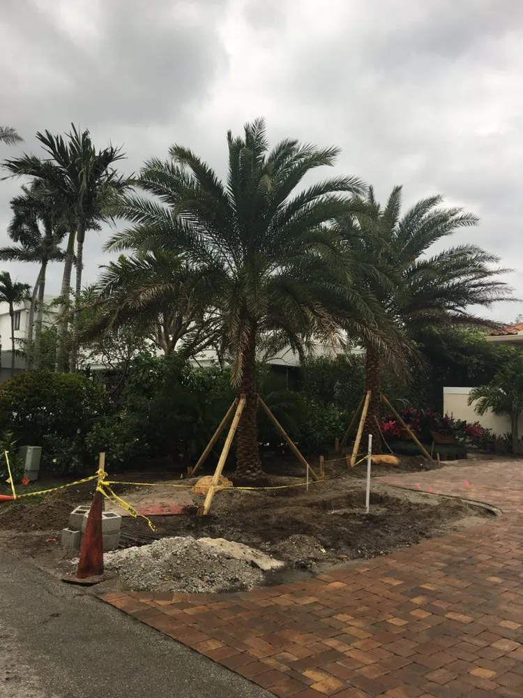 Expert landscape installation for beautiful yards in Pompano Beach, FL by Equilibrium Landscape