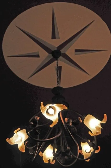 Expert yard cleanup service for homes in Pompano Beach, FL by Equilibrium Landscape