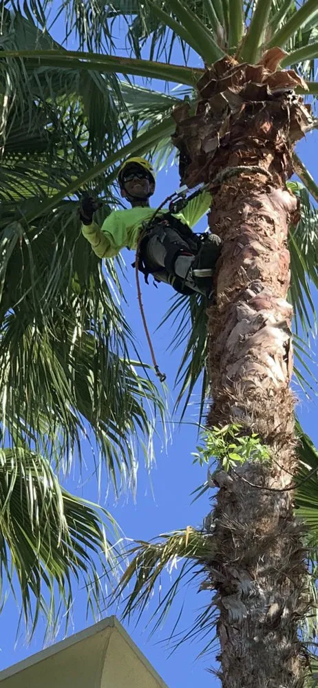 Top-rated outdoor landscaping experts serving Pompano Beach, FL - Equilibrium Landscape