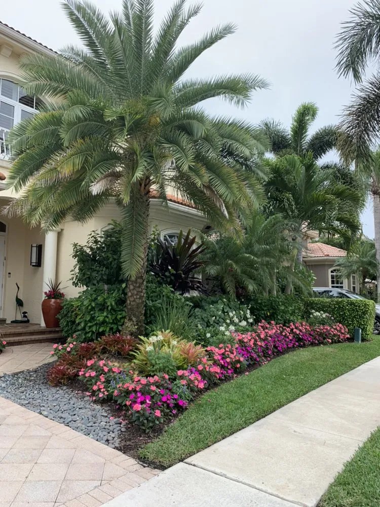 Reliable yard cleanup service for residential properties across Pompano Beach, FL - Equilibrium Landscape