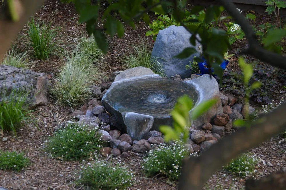 Affordable yard maintenance in Petaluma, CA - Equinox Landscape