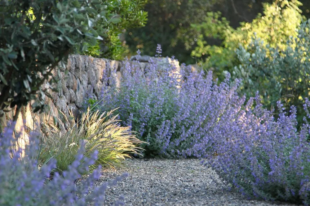 Top-rated outdoor landscaping for homes in Petaluma, CA by Equinox Landscape
