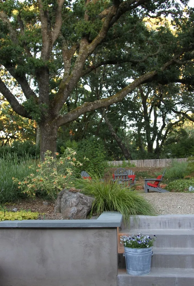 Local landscape design for outdoor upgrades in Petaluma, CA by Equinox Landscape