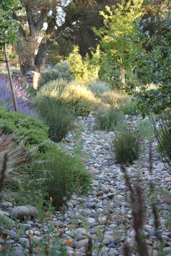 Affordable landscaping services in Petaluma, CA - Equinox Landscape