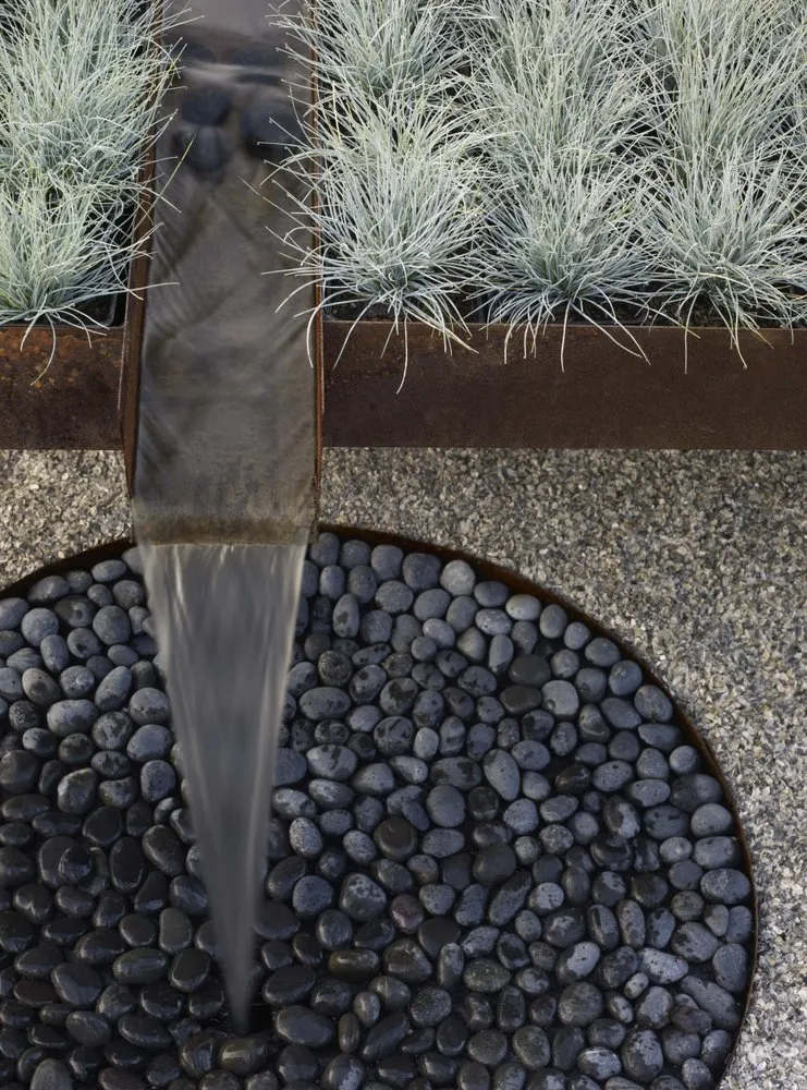 Expert lawn care service in Petaluma, CA by Equinox Landscape