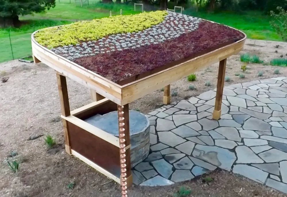 Affordable lawn care service for outdoor upgrades across Petaluma, CA - Equinox Landscape