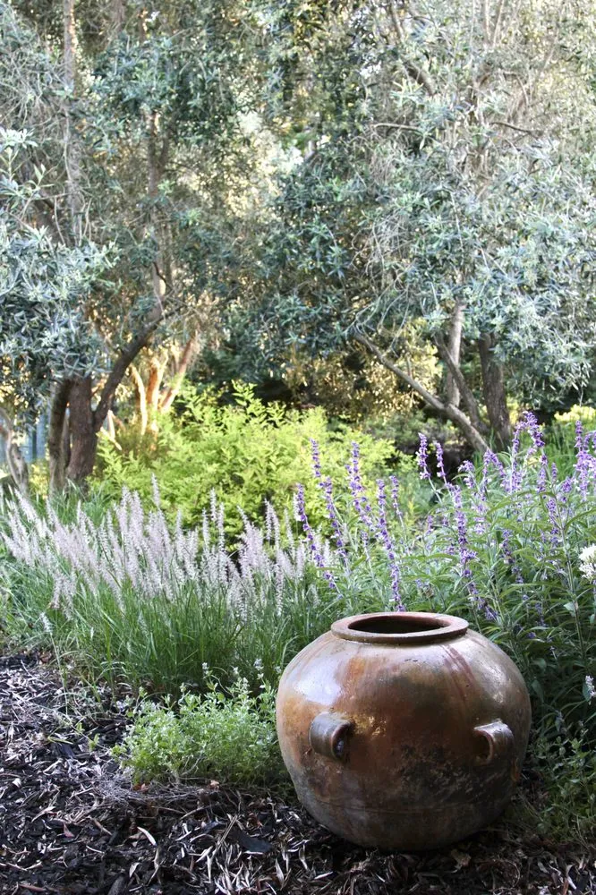 Expert lawn mowing service experts serving Petaluma, CA - Equinox Landscape