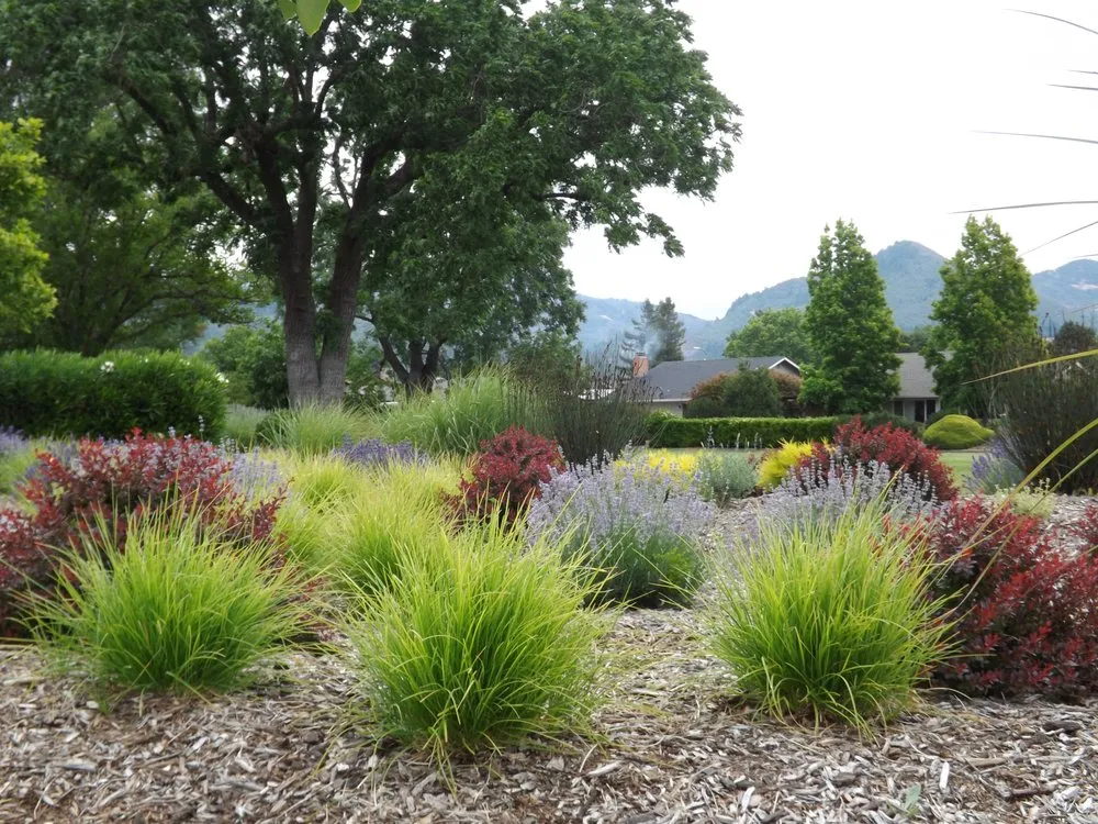 Expert lawn mowing service experts serving Petaluma, CA - Equinox Landscape