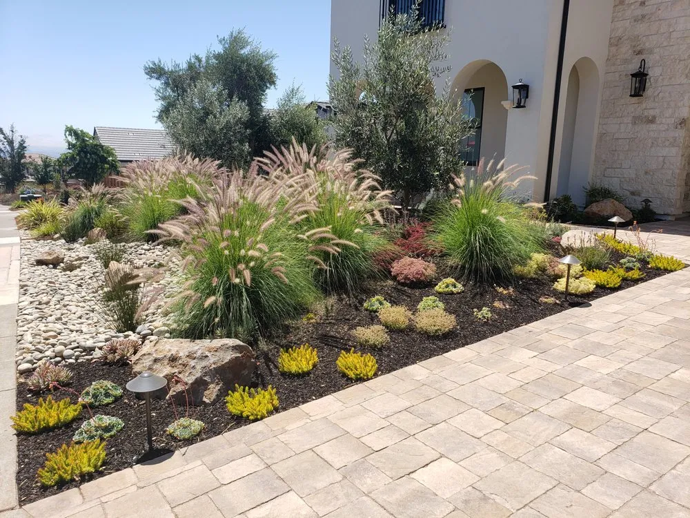 Local lawn mowing service in Petaluma, CA - Equinox Landscape