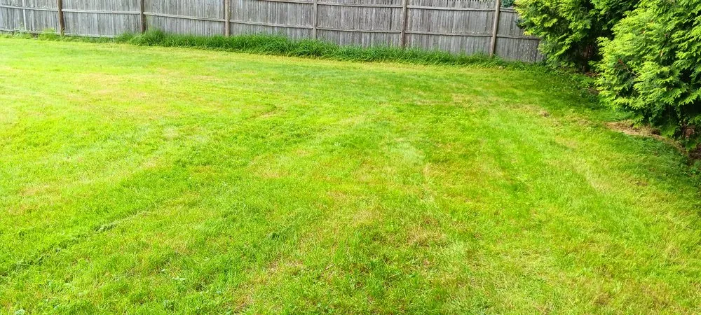 Professional landscape installation near you across Wrentham, MA - Equip 1