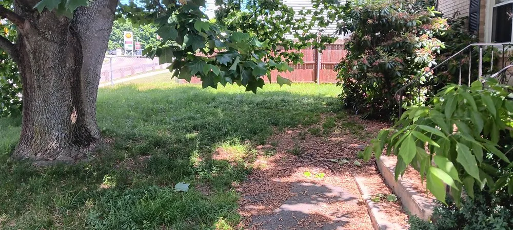 Custom yard maintenance for year-round maintenance in Wrentham, MA by Equip 1