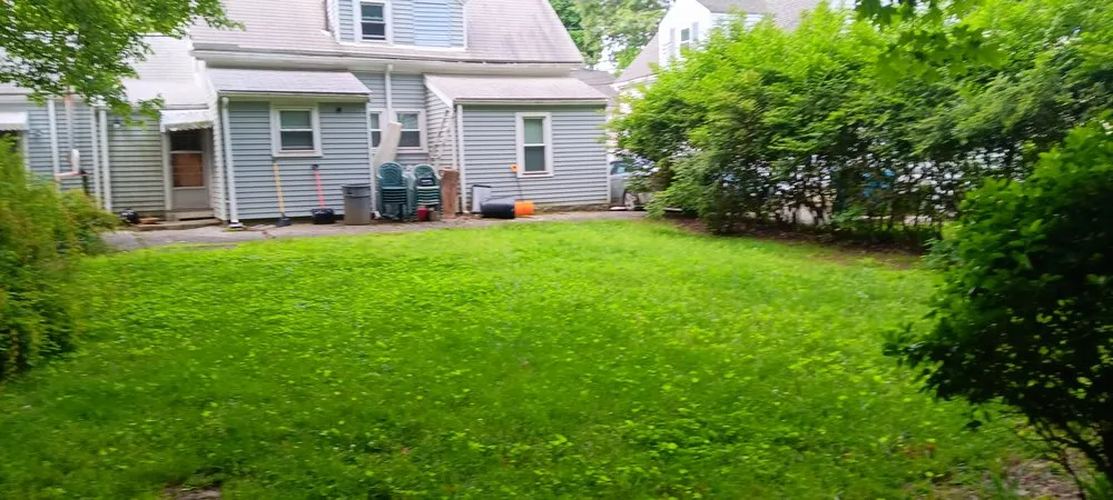 Expert yard cleanup service in Wrentham, MA by Equip 1