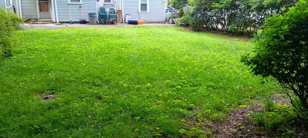 Reliable landscape design in Wrentham, MA - Equip 1