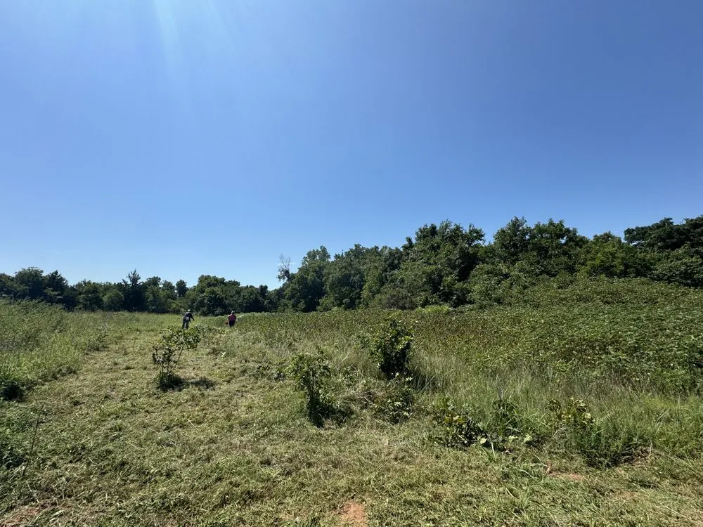 Reliable lawn care service in Norman, OK by Equiscape Landscaping & Livestock Living