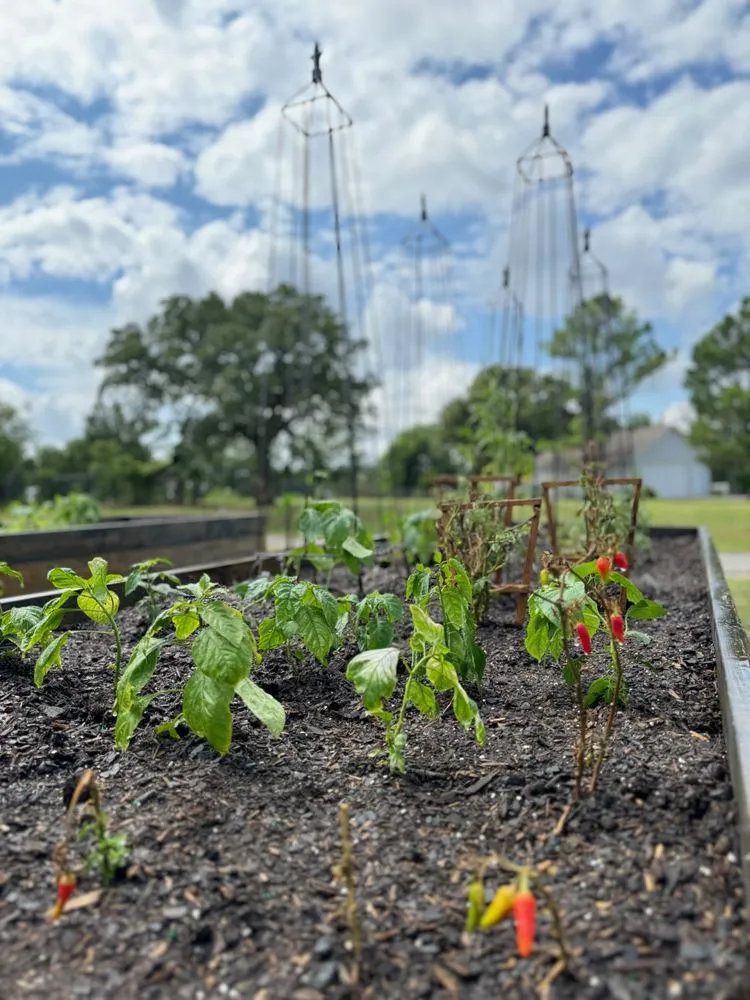 Local outdoor landscaping in Norman, OK - Equiscape Landscaping & Livestock Living