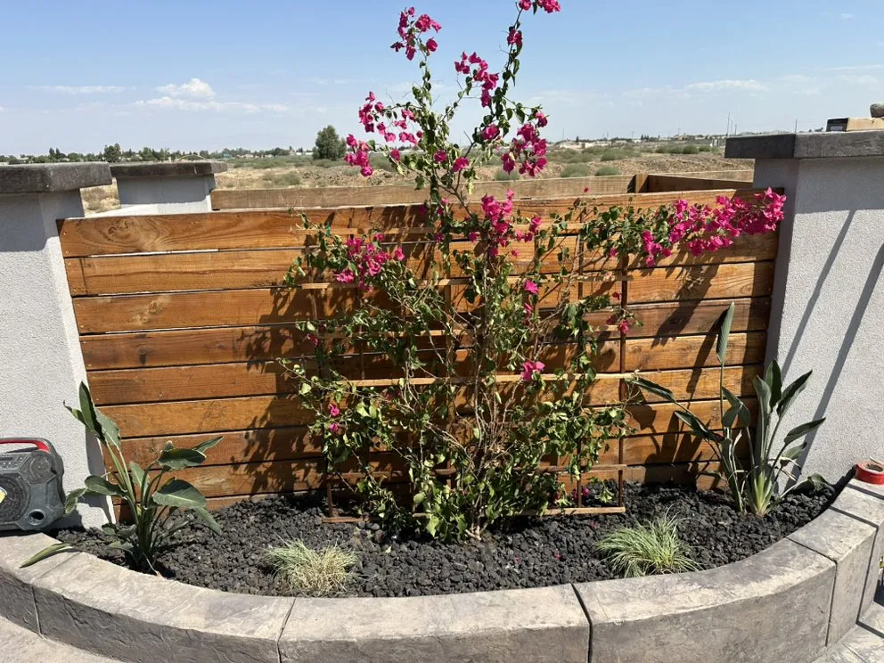 Affordable landscaping services experts serving Bakersfield, CA - Equity Landscapes