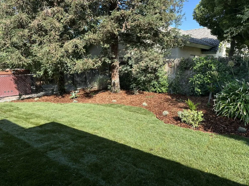 Local residential landscaping for outdoor upgrades in Bakersfield, CA by Equity Landscapes