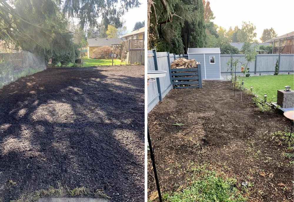 Reliable yard maintenance for year-round maintenance in Portland, OR by ER BLINI Landscaping