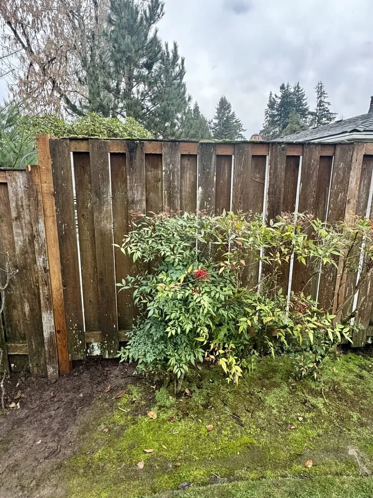 Top-rated outdoor landscaping in Portland, OR - ER BLINI Landscaping