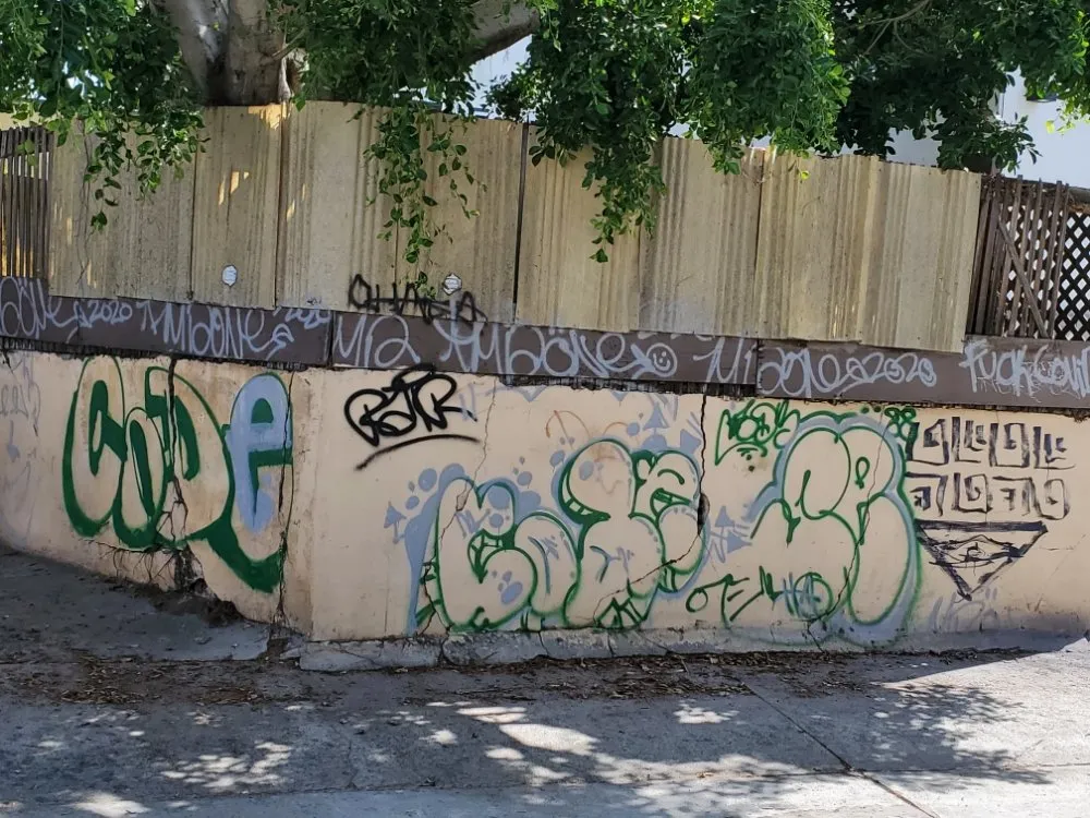 Local yard maintenance experts serving Inglewood, CA - ER Landscape & Maintenance