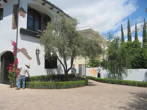 Professional lawn mowing service in Inglewood, CA by ER Landscape & Maintenance