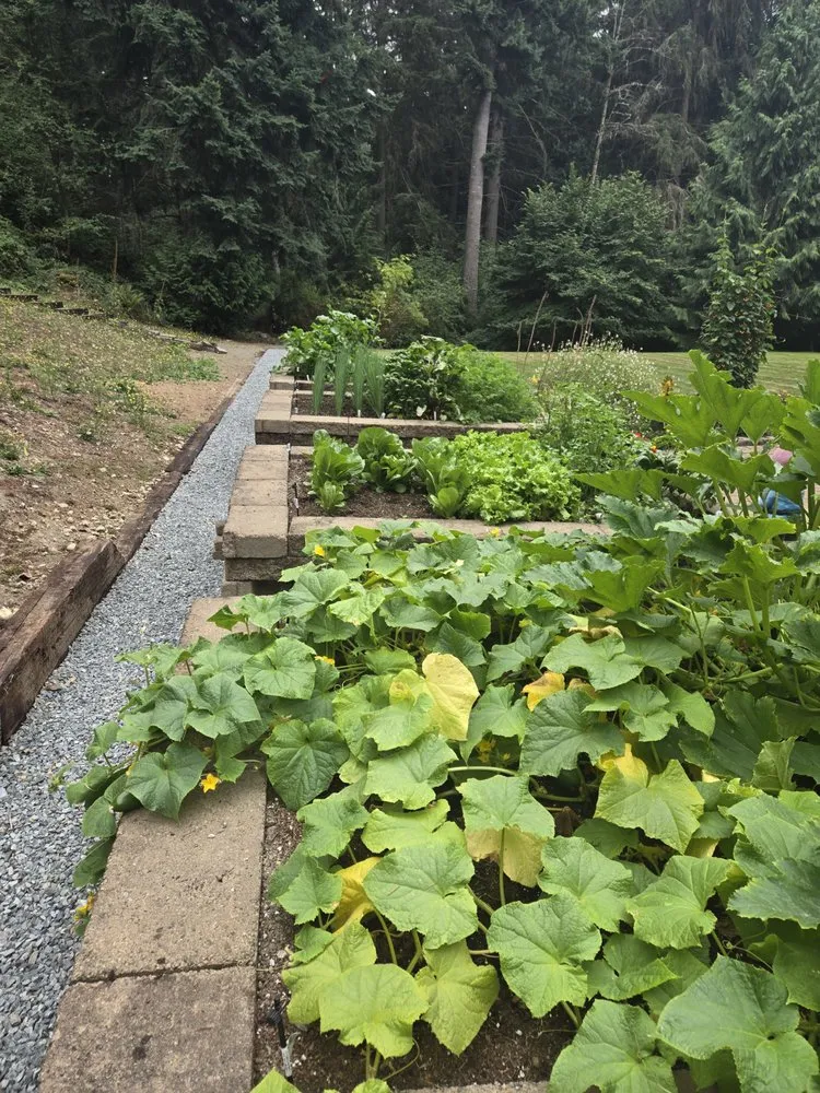 Custom landscape design in Tacoma, WA by ER Landscaping & Maintenance