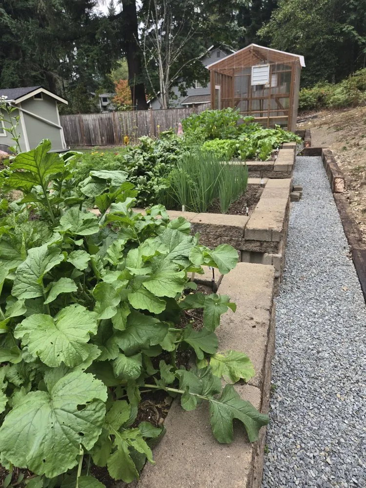 Custom lawn mowing service for year-round maintenance across Tacoma, WA - ER Landscaping & Maintenance