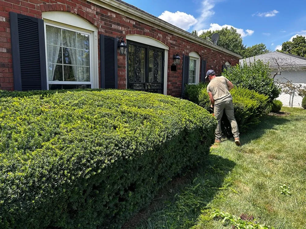 Top-rated outdoor landscaping in Waddy, KY by ER Landscaping Solutions