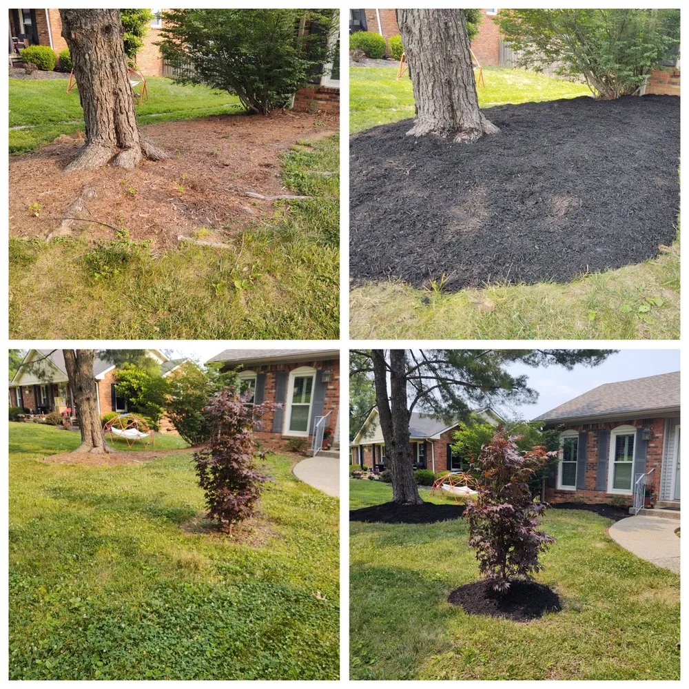 Reliable residential landscaping experts serving Waddy, KY - ER Landscaping Solutions