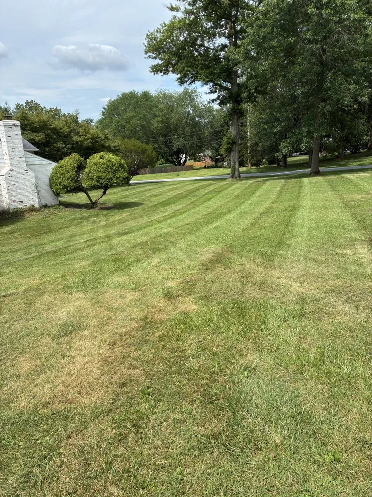 Affordable yard cleanup service for homes in Kennett Square, PA by ER Lawn and Landscaping