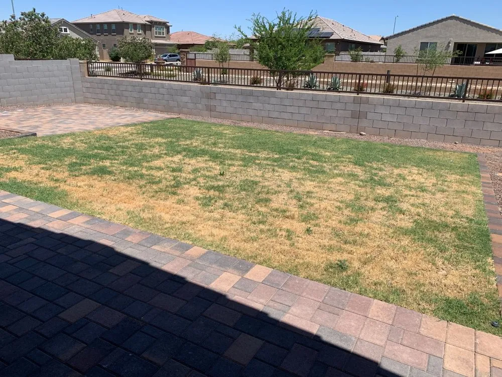 Professional yard maintenance with custom design across Sun City, AZ - E&R Lawn Care